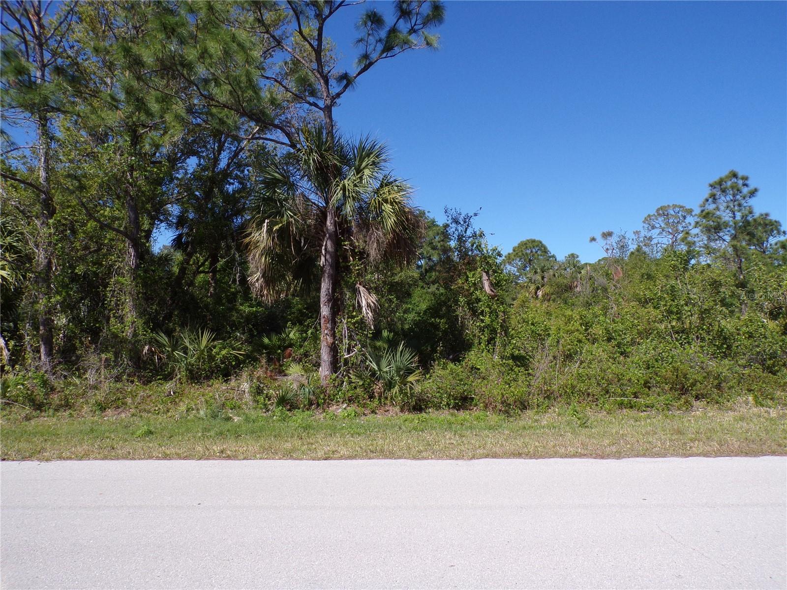 26272 DEER RD, PUNTA GORDA, FL — photo 11