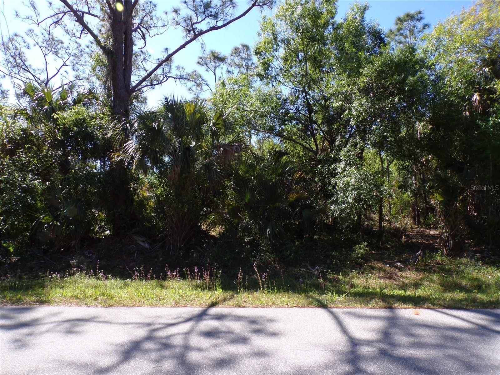 26215 CUSTER RD, PUNTA GORDA, FL — photo 5