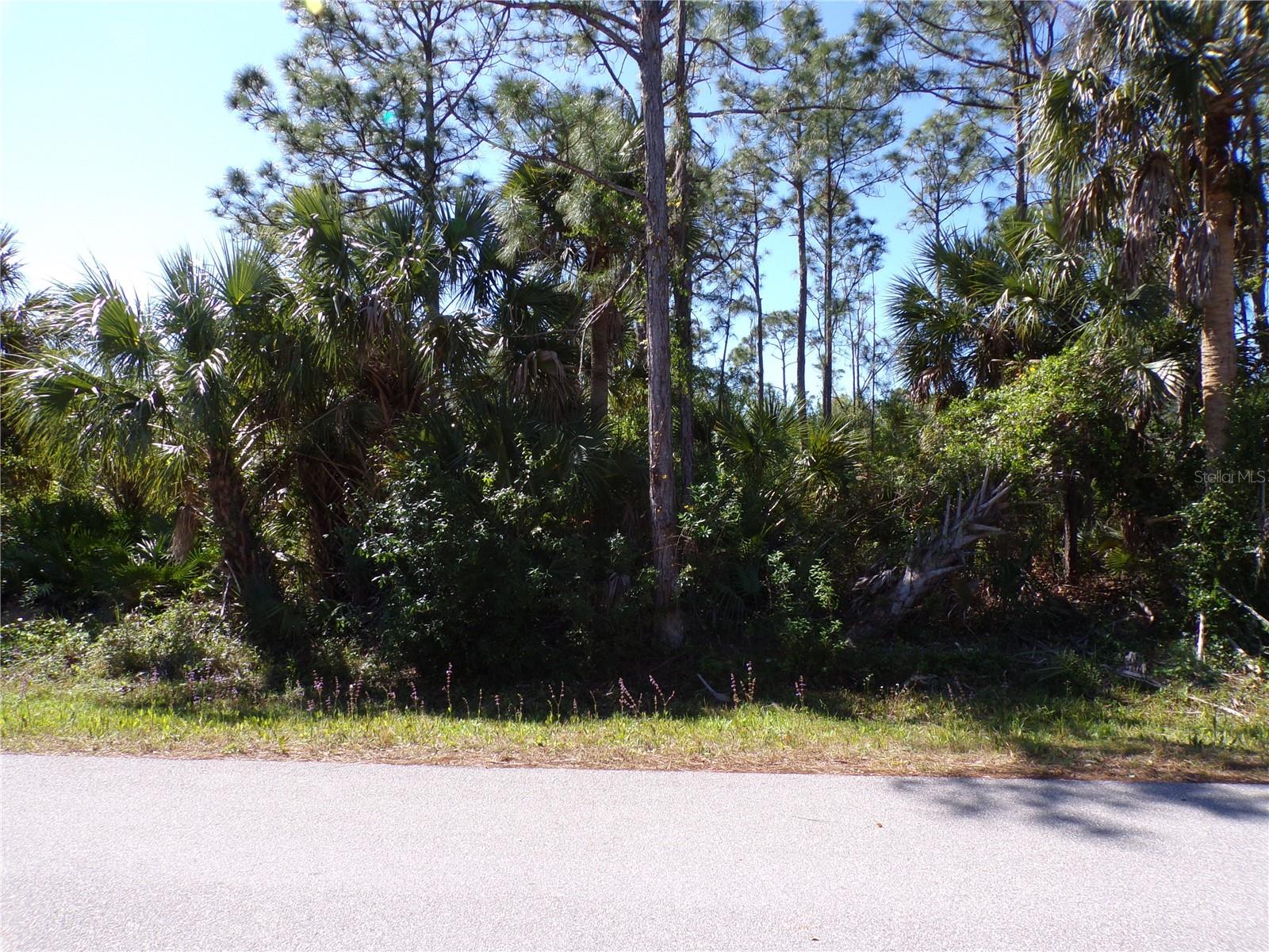 26215 CUSTER RD, PUNTA GORDA, FL — photo 8