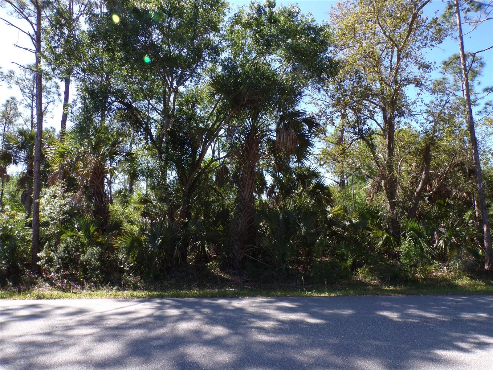 12115 ESTRELLA BLVD, PUNTA GORDA, FL