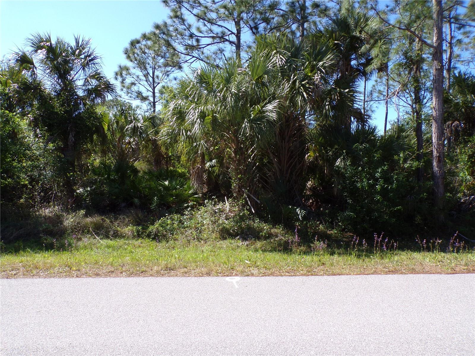 12115 ESTRELLA BLVD, PUNTA GORDA, FL — photo 10