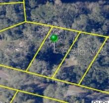 3221 DUBLIN RD, DADE CITY, FL — photo 10