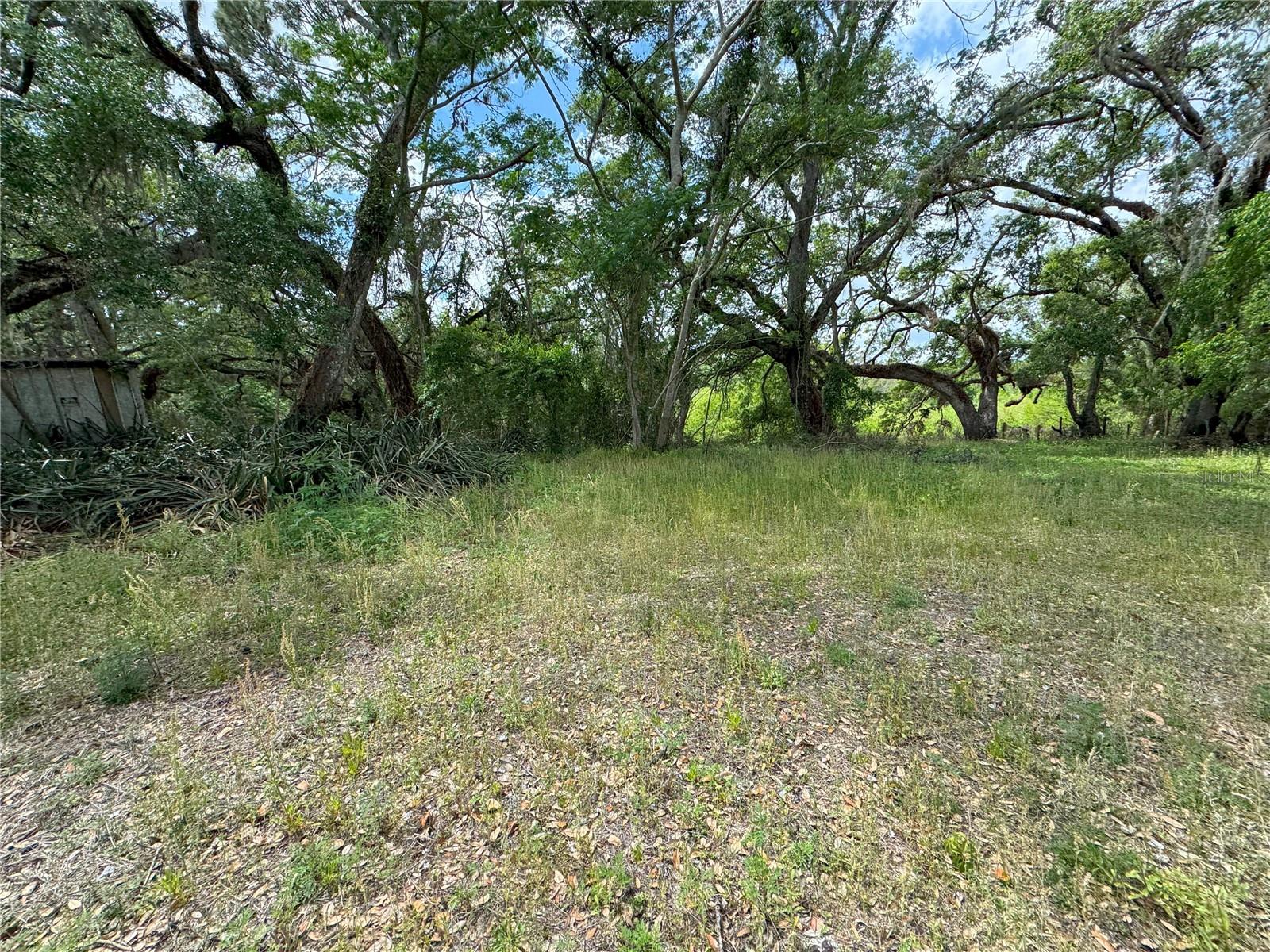 3221 DUBLIN RD, DADE CITY, FL