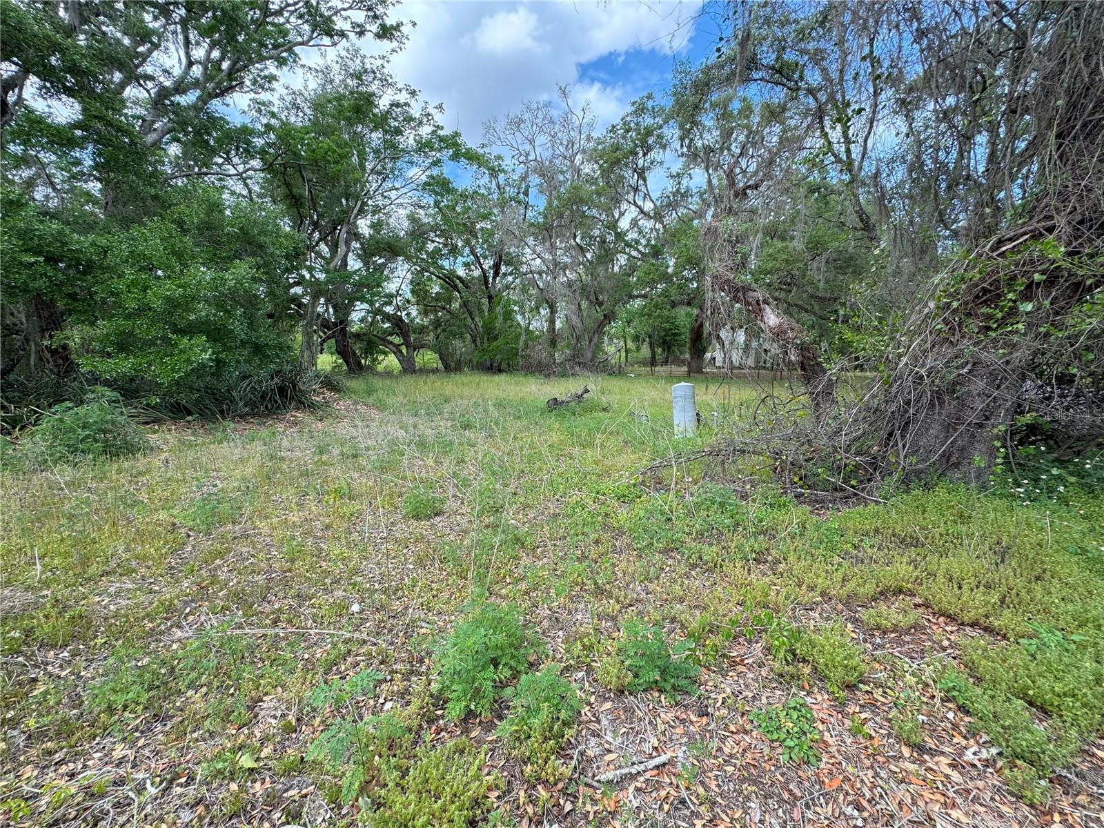 3221 DUBLIN RD, DADE CITY, FL — photo 3