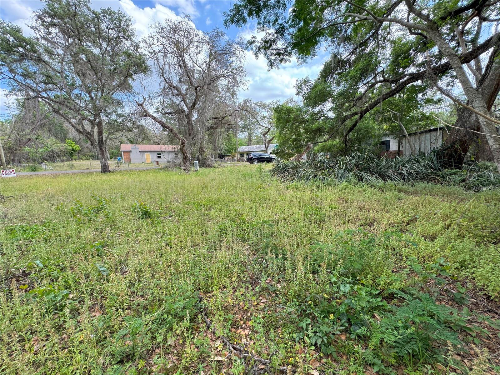3221 DUBLIN RD, DADE CITY, FL — photo 2