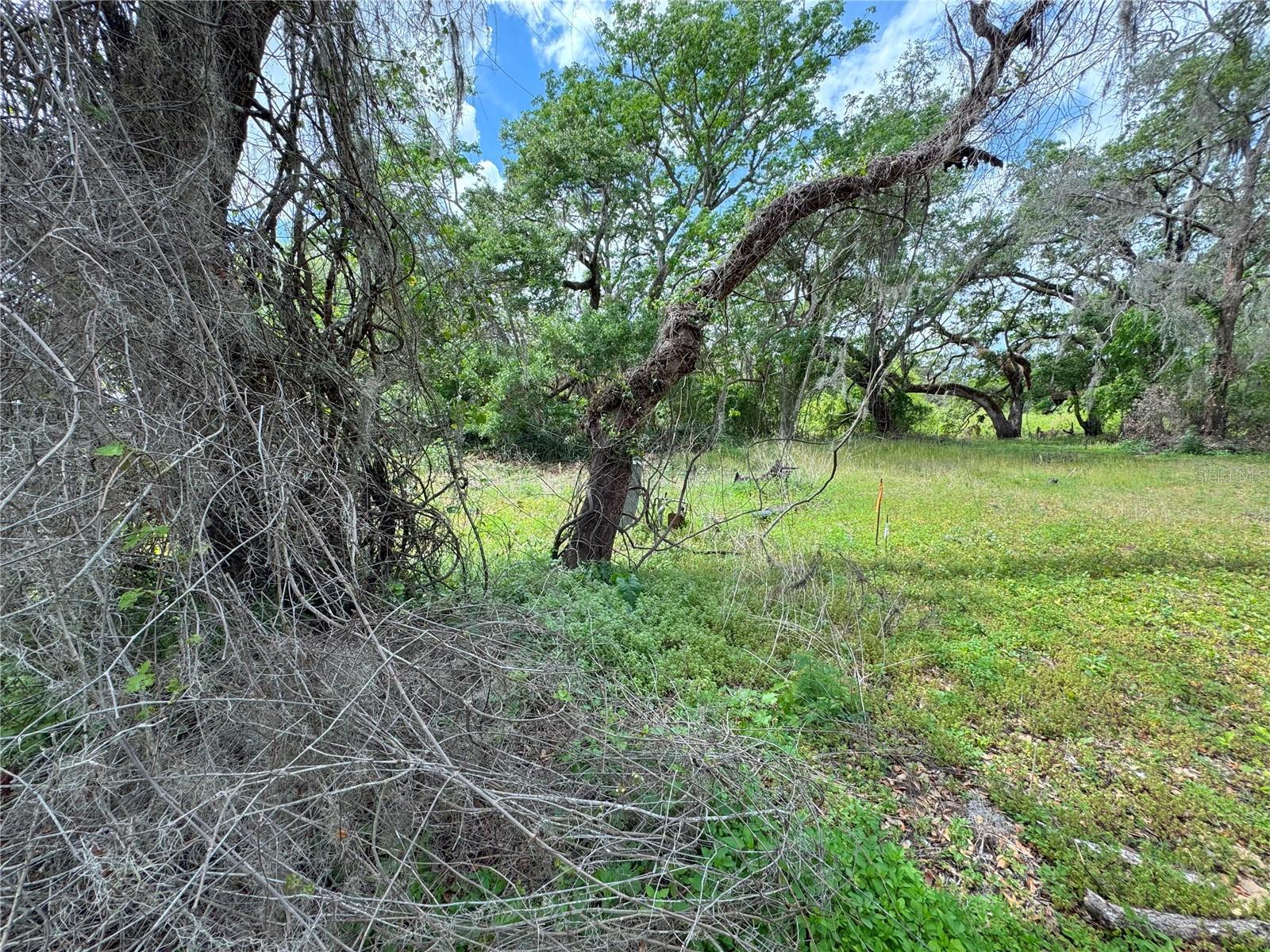 3221 DUBLIN RD, DADE CITY, FL — photo 7