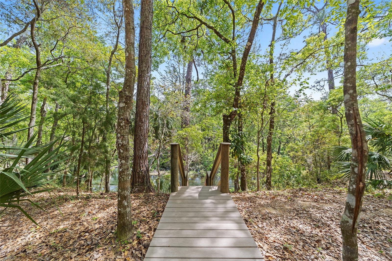 10894 SW 185TH TER, DUNNELLON, FL — photo 31