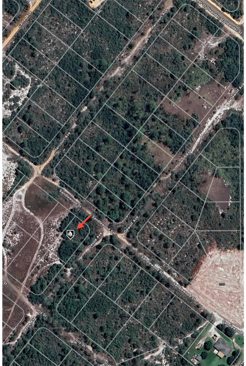 1214 SANDLEWOOD ST, LAKE PLACID, FL — photo 2