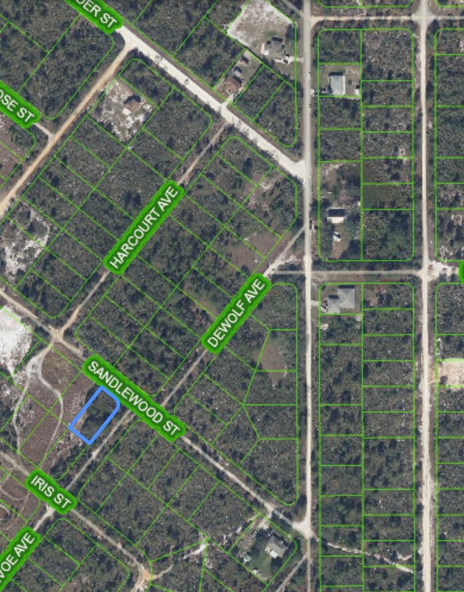 1214 SANDLEWOOD ST, LAKE PLACID, FL — photo 7