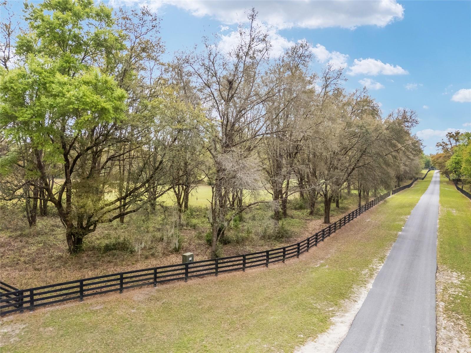 3595 NW 156TH DR, NEWBERRY, FL — photo 6