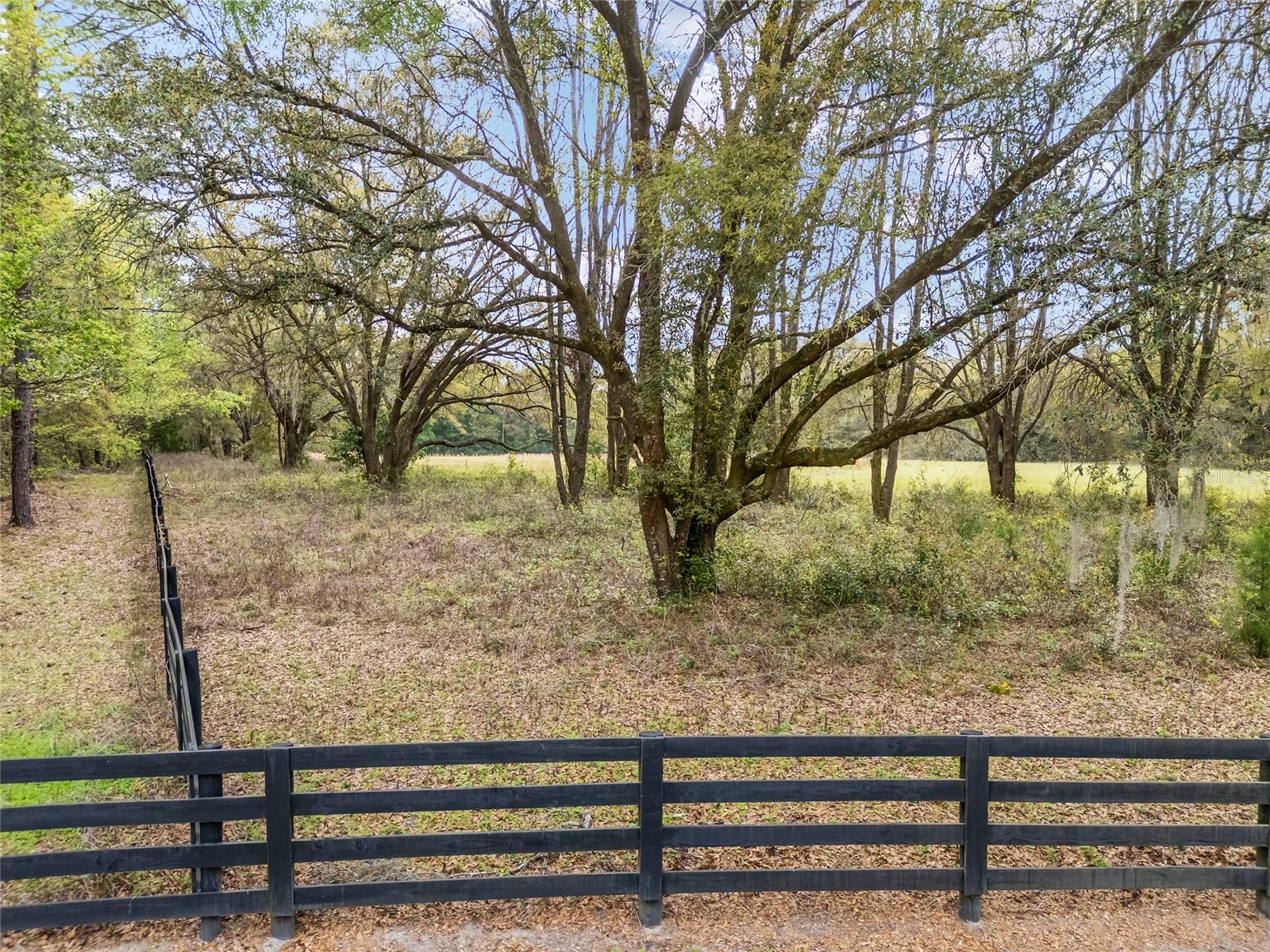 3595 NW 156TH DR, NEWBERRY, FL — photo 7