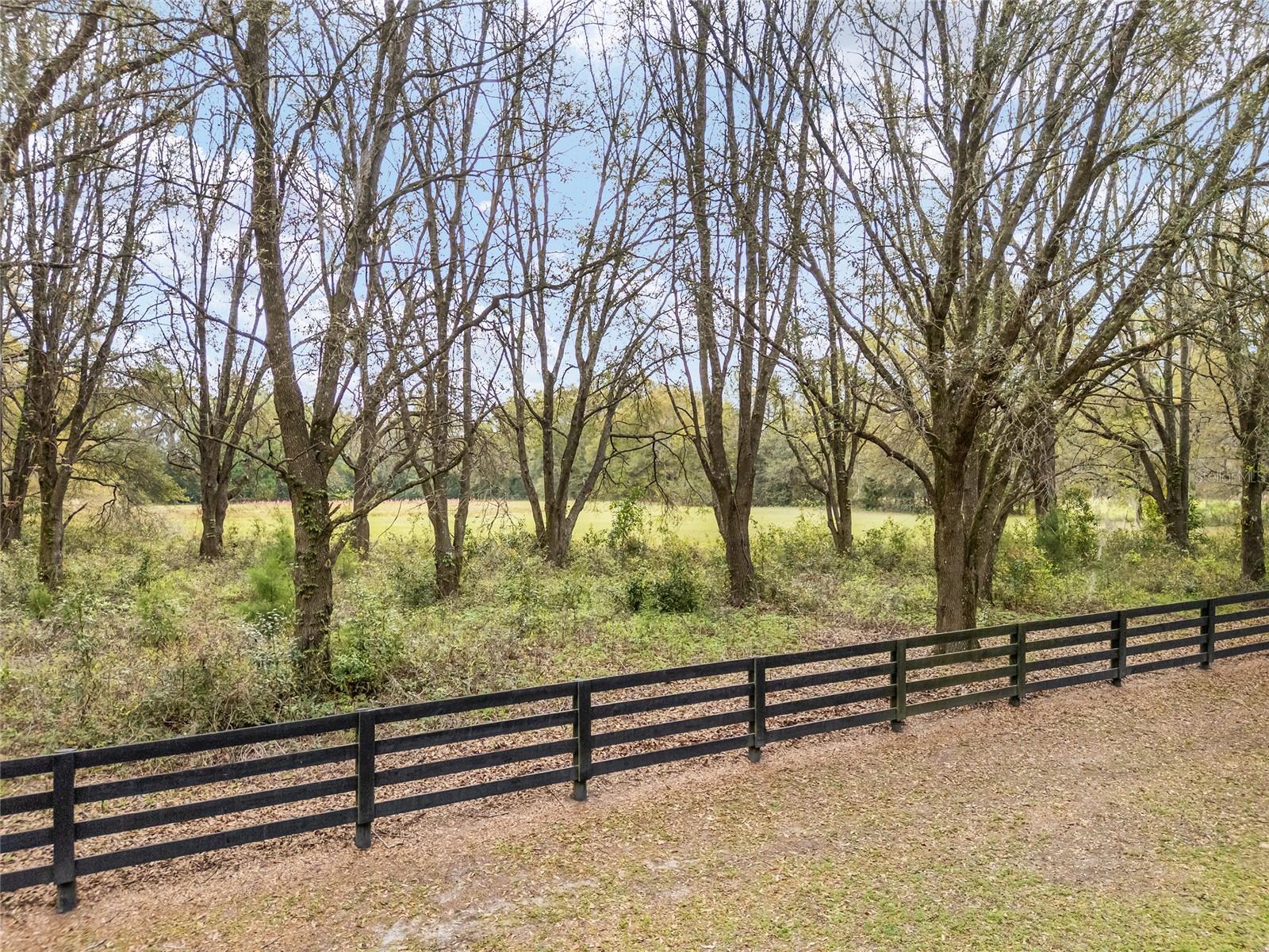 3595 NW 156TH DR, NEWBERRY, FL — photo 8