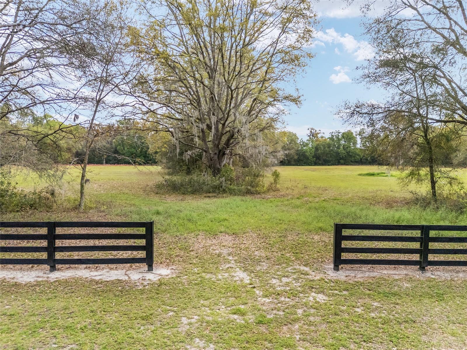 3595 NW 156TH DR, NEWBERRY, FL — photo 9