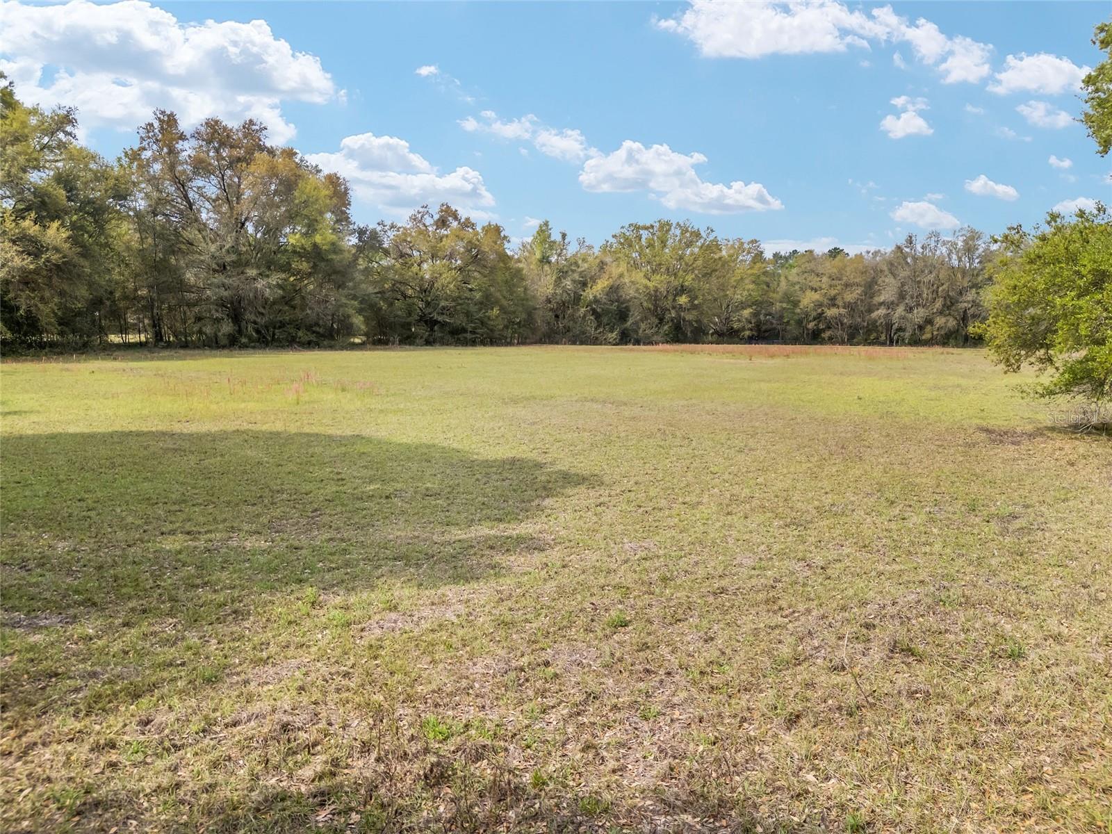 3595 NW 156TH DR, NEWBERRY, FL — photo 13