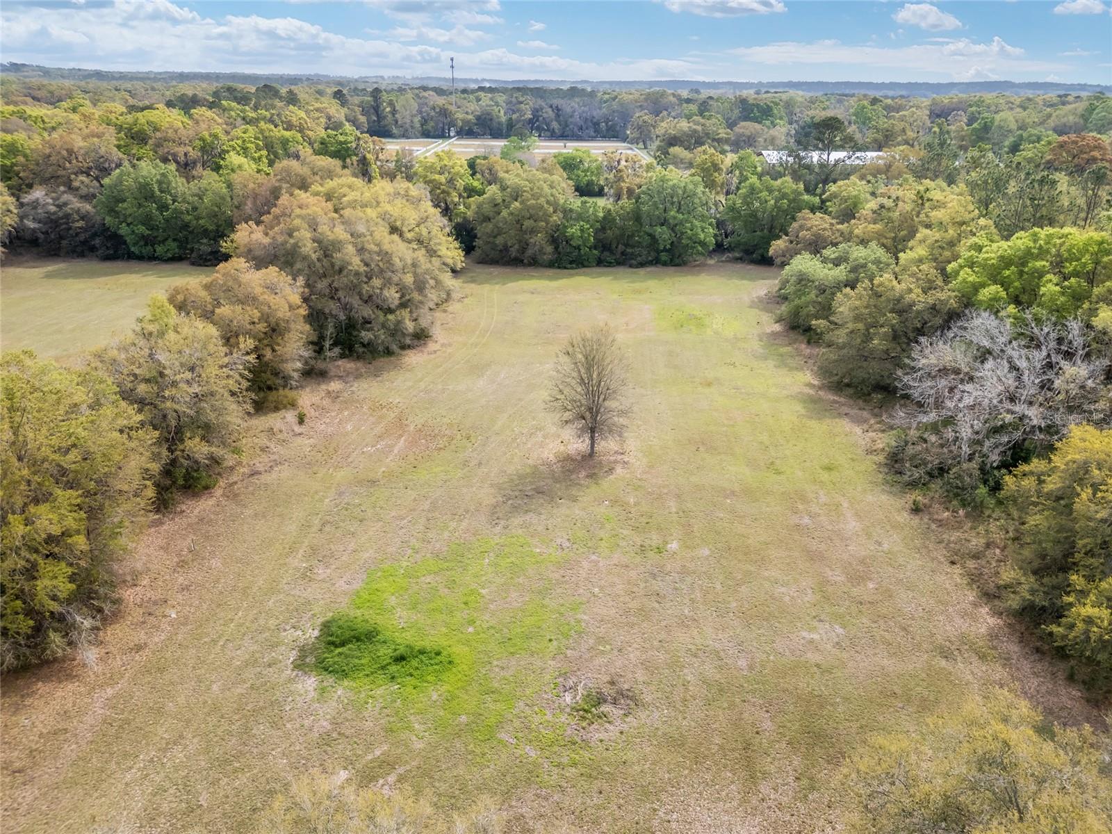 3595 NW 156TH DR, NEWBERRY, FL — photo 17