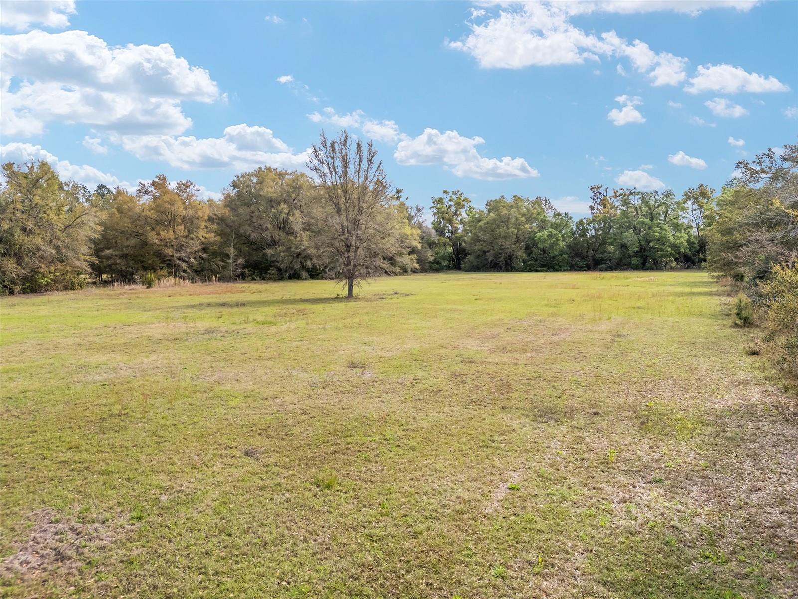 3595 NW 156TH DR, NEWBERRY, FL — photo 18