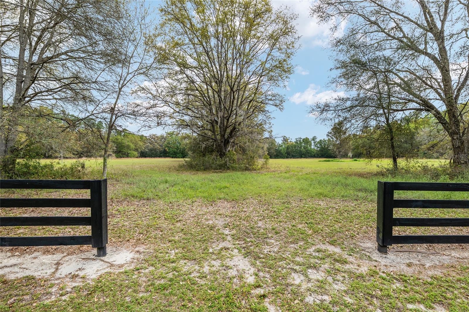 3595 NW 156TH DR, NEWBERRY, FL — photo 22