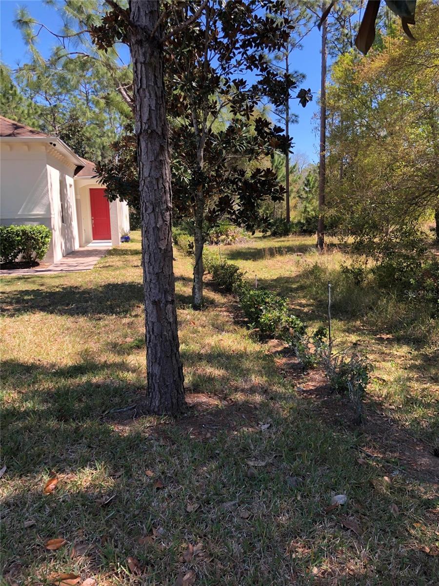 2301 AVELLINO AVE, ST CLOUD, FL — photo 4