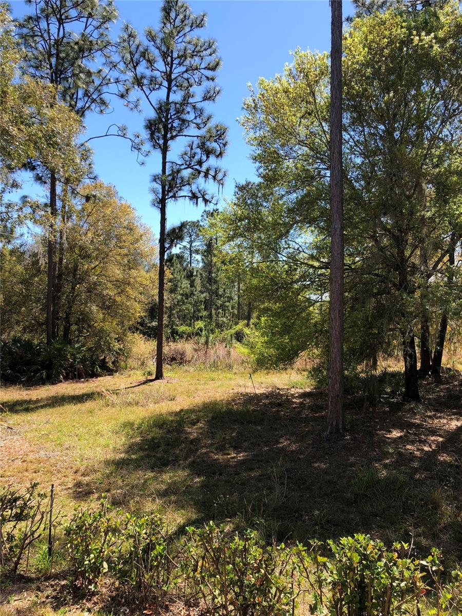 2301 AVELLINO AVE, ST CLOUD, FL — photo 53