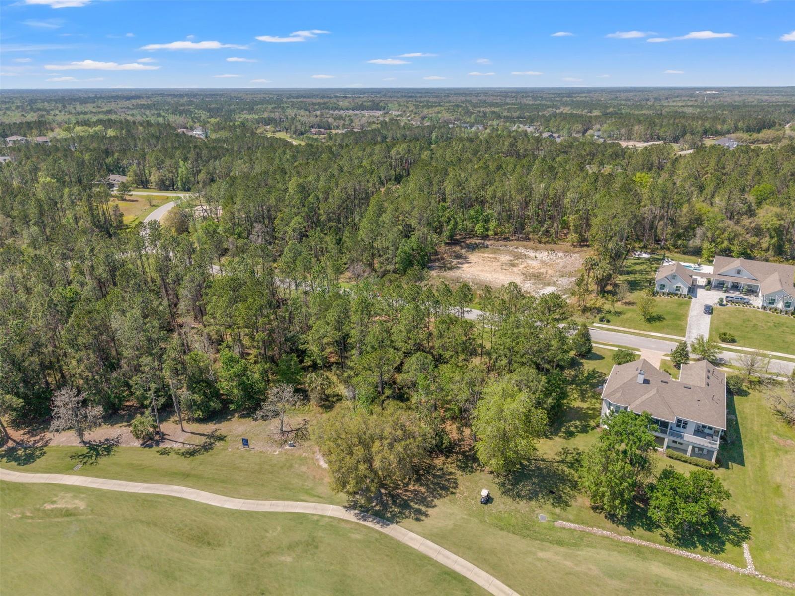 20044 ENGLISH WALNUT PL, BROOKSVILLE, FL — photo 4