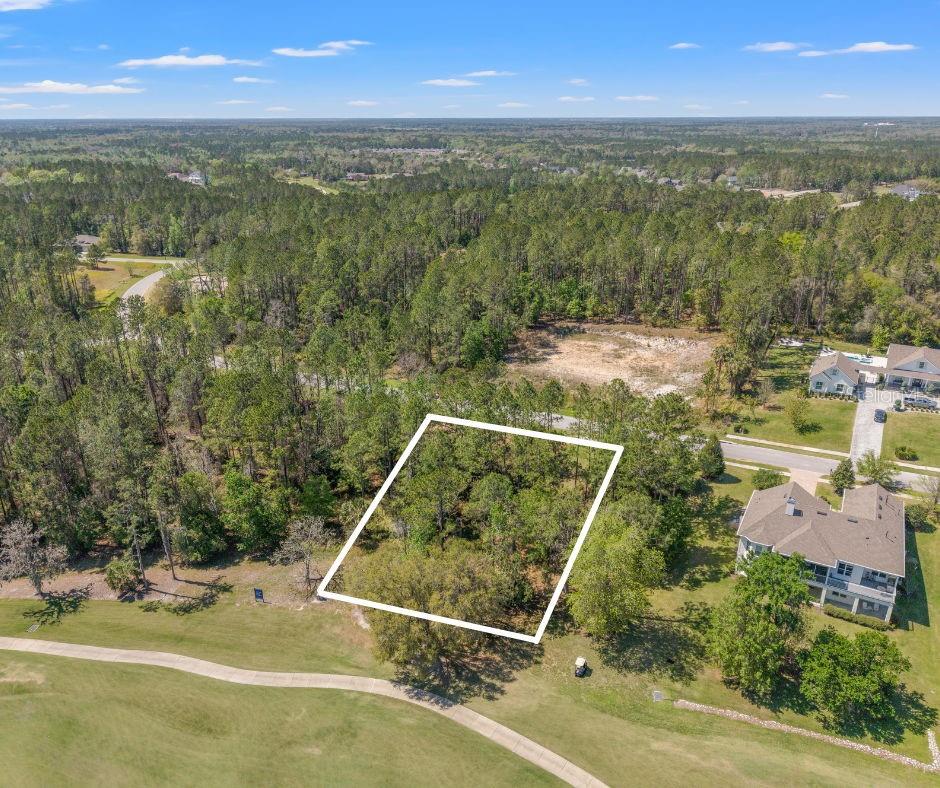 20044 ENGLISH WALNUT PL, BROOKSVILLE, FL — photo 5