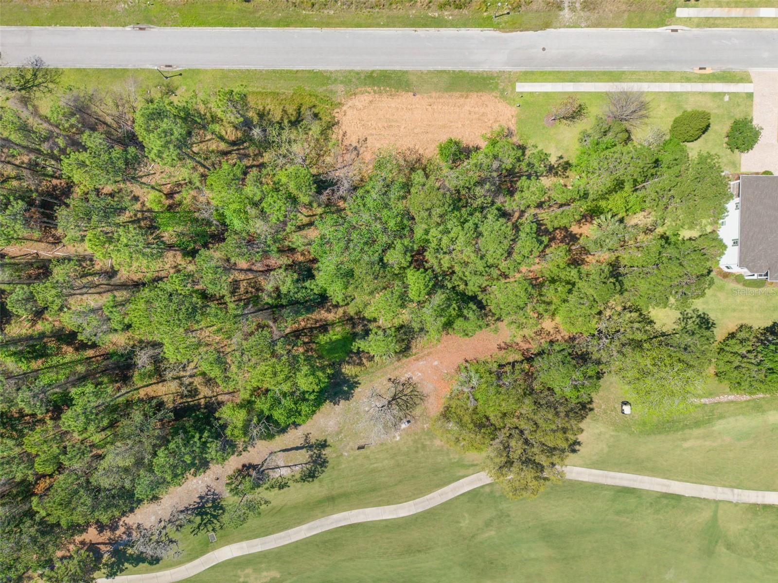 20044 ENGLISH WALNUT PL, BROOKSVILLE, FL — photo 7