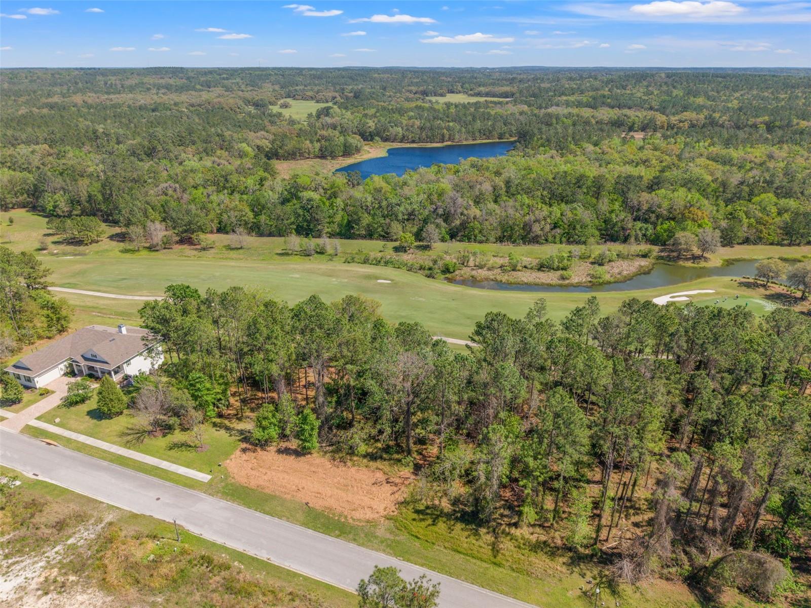 20044 ENGLISH WALNUT PL, BROOKSVILLE, FL — photo 8