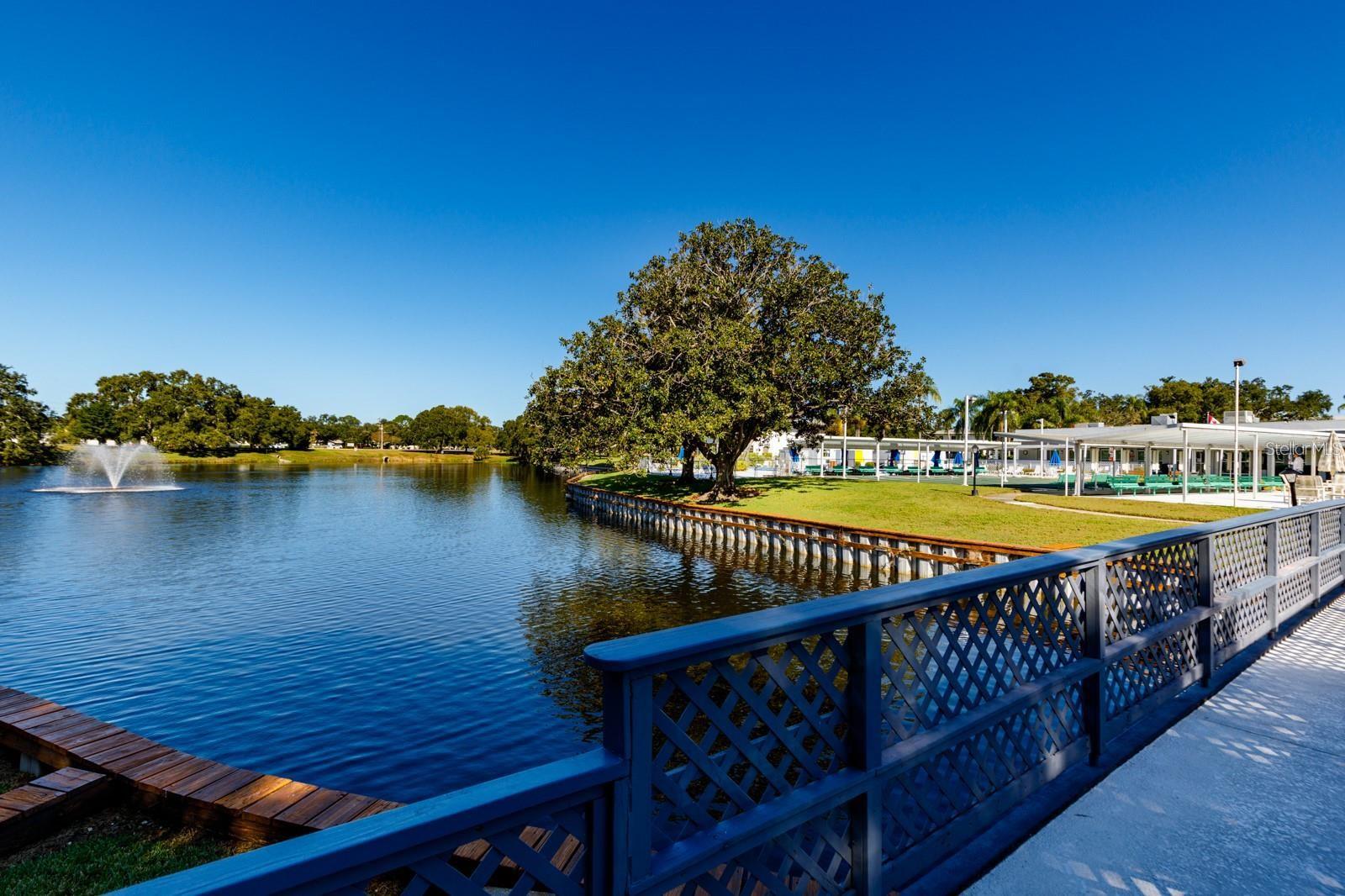 11200 86TH AVE #202, SEMINOLE, FL — photo 12