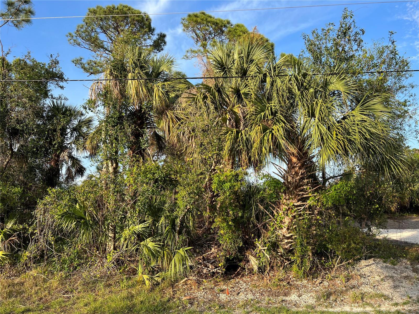SPARKLE LN, NORTH PORT, FL — photo 5