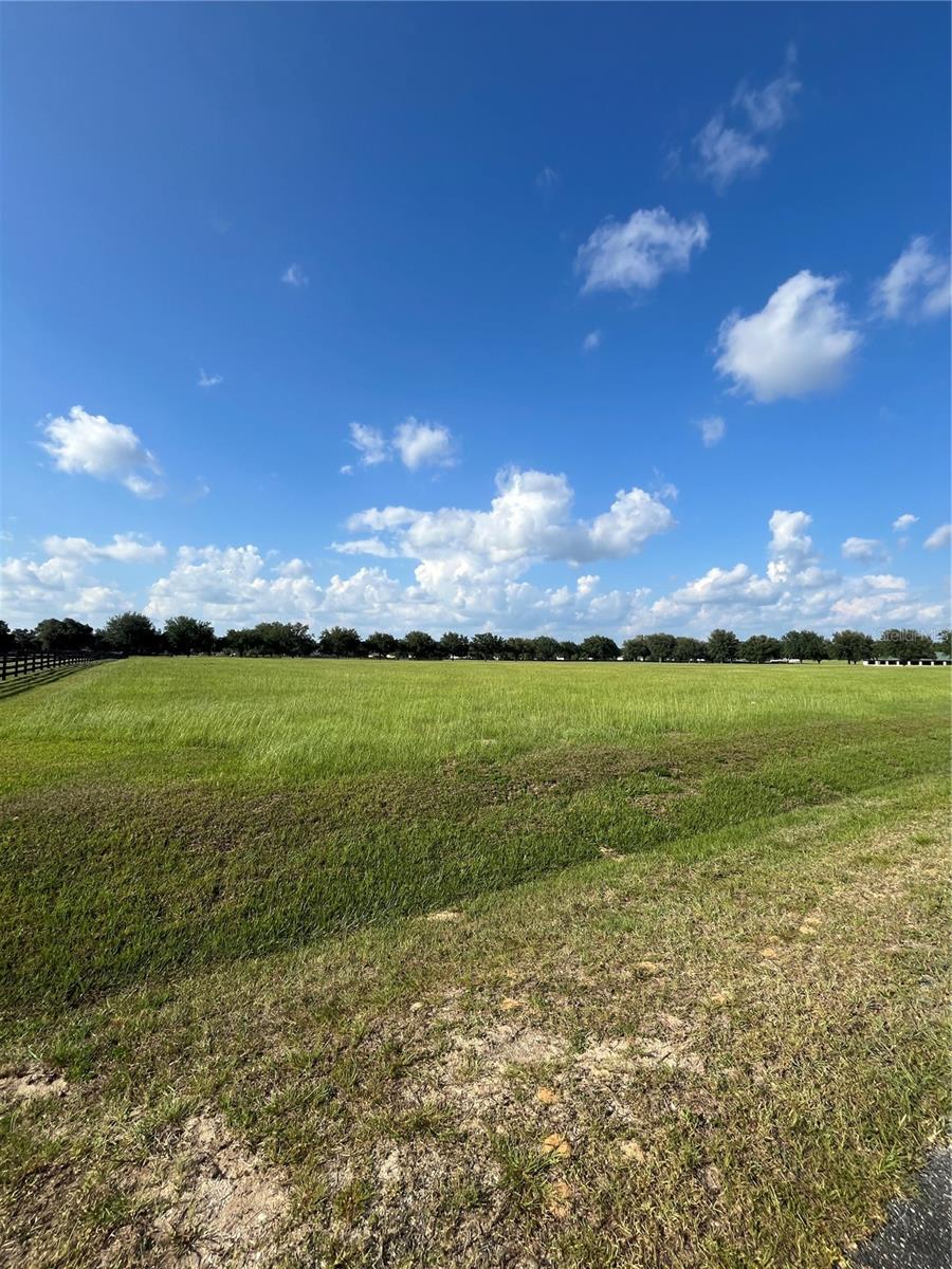 TBD 54 LOOP, OCALA, FL