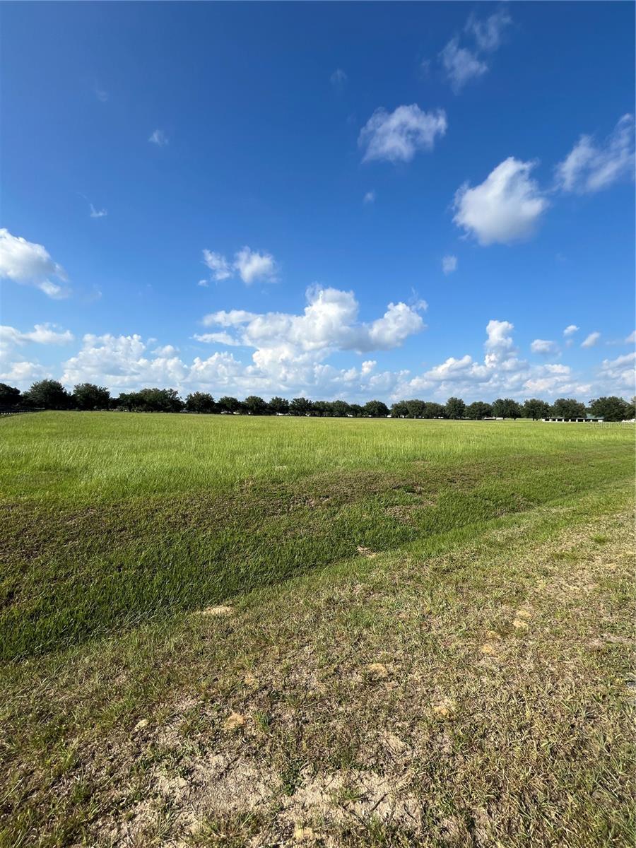 TBD 54 LOOP, OCALA, FL — photo 3