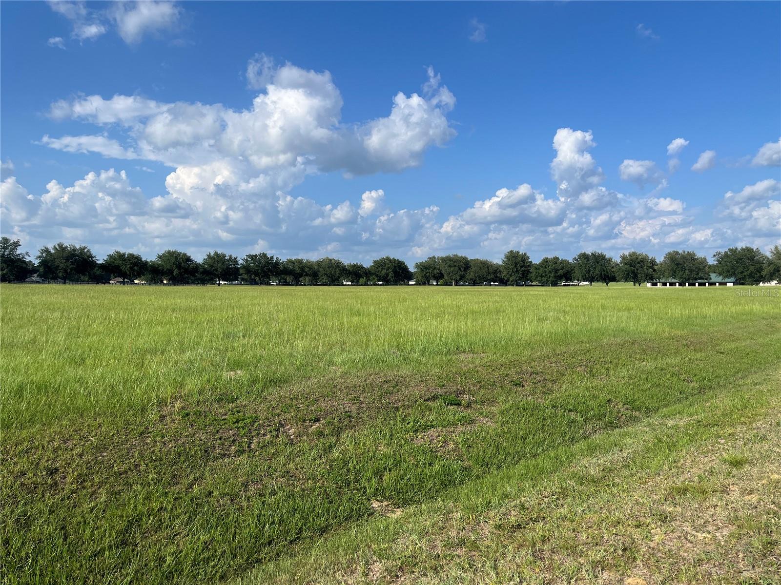 TBD 54 LOOP, OCALA, FL — photo 4