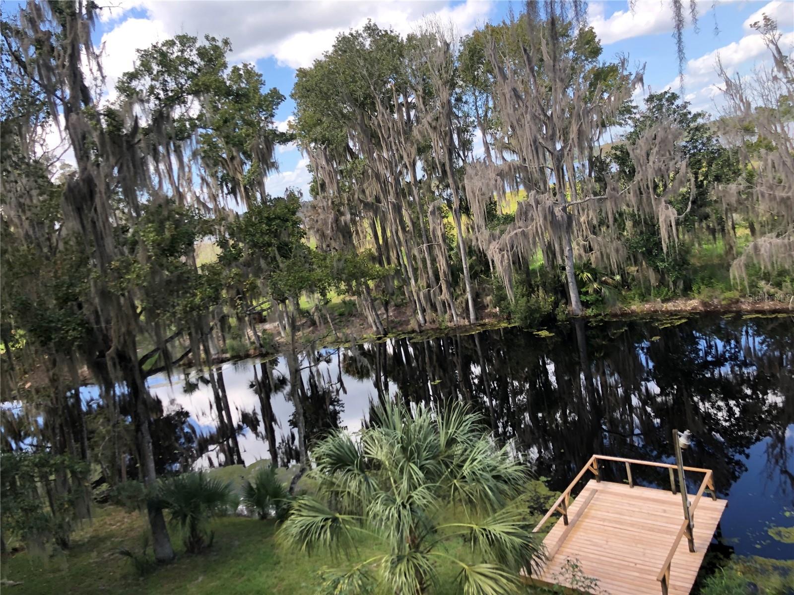216 LITTLE ORANGE LAKE DR, HAWTHORNE, FL