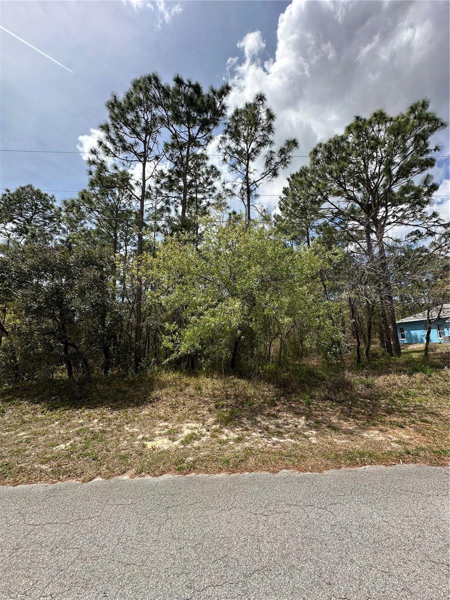 2 FRINGETREE CT, HOMOSASSA, FL