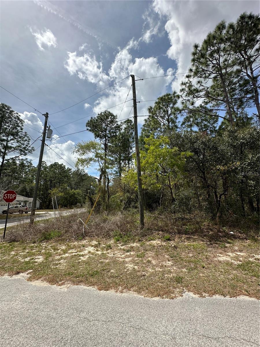 2 FRINGETREE CT, HOMOSASSA, FL — photo 2
