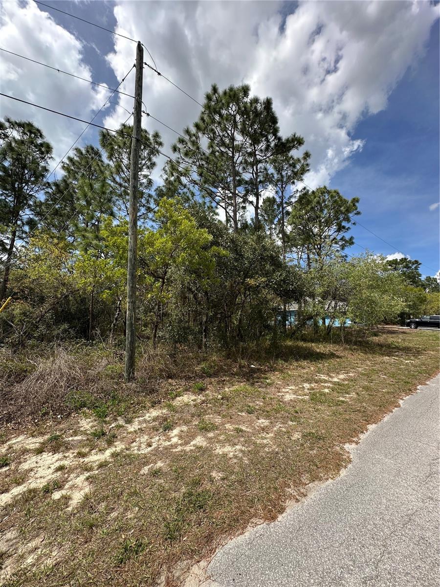2 FRINGETREE CT, HOMOSASSA, FL — photo 4