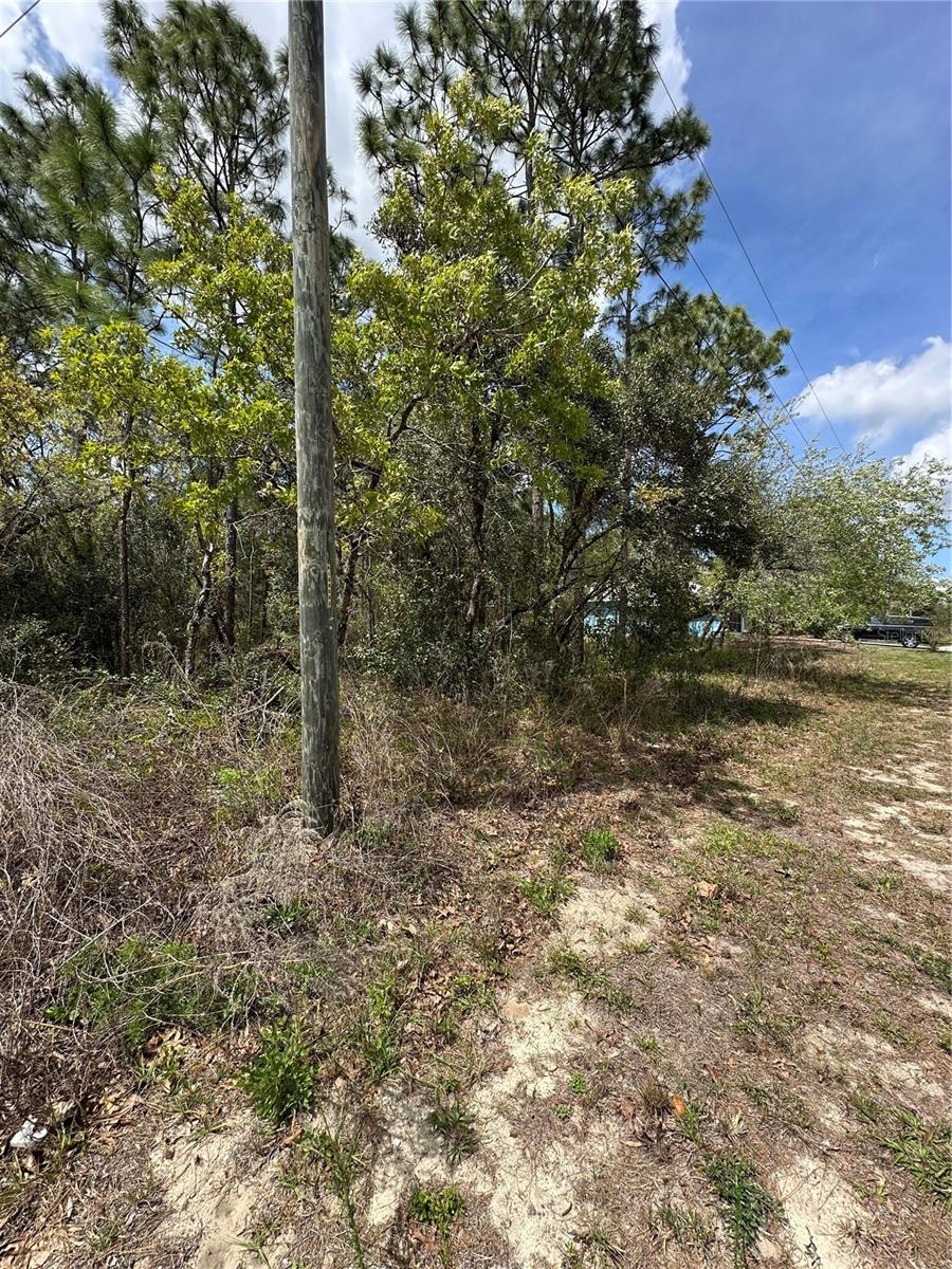 2 FRINGETREE CT, HOMOSASSA, FL — photo 7