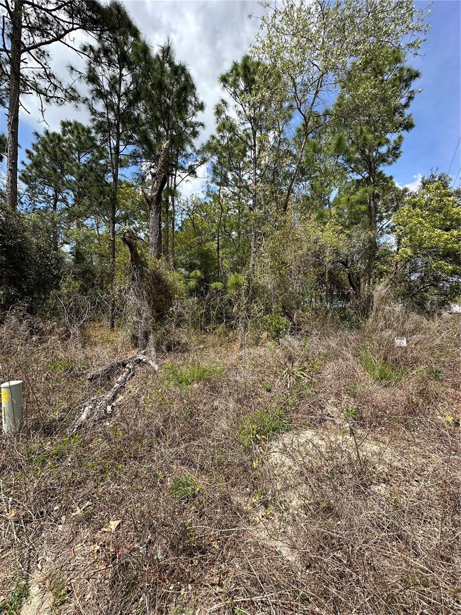 2 FRINGETREE CT, HOMOSASSA, FL — photo 9