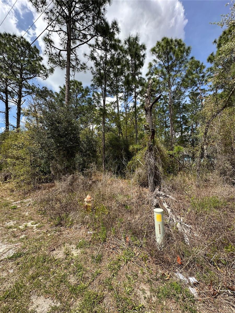 2 FRINGETREE CT, HOMOSASSA, FL — photo 10