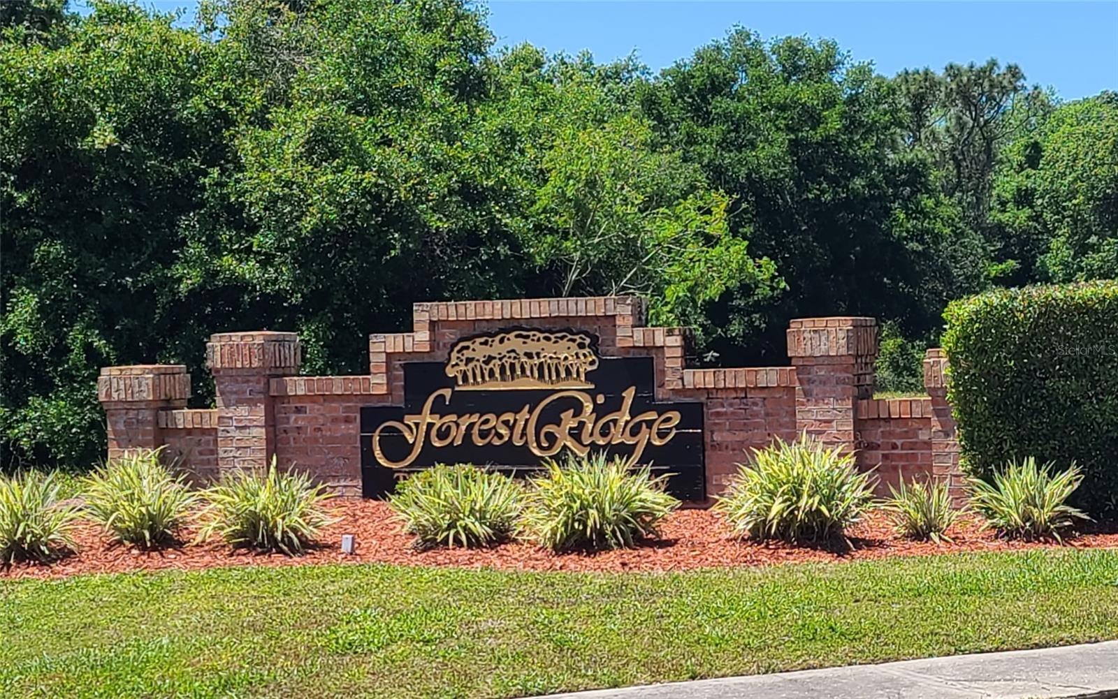 0 WOOD DOVE, LOTS 1.2.3.&4 AVE, TARPON SPRINGS, FL
