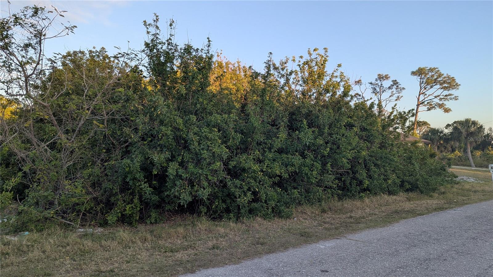 4026 MCINTIRE ST, PORT CHARLOTTE, FL — photo 3