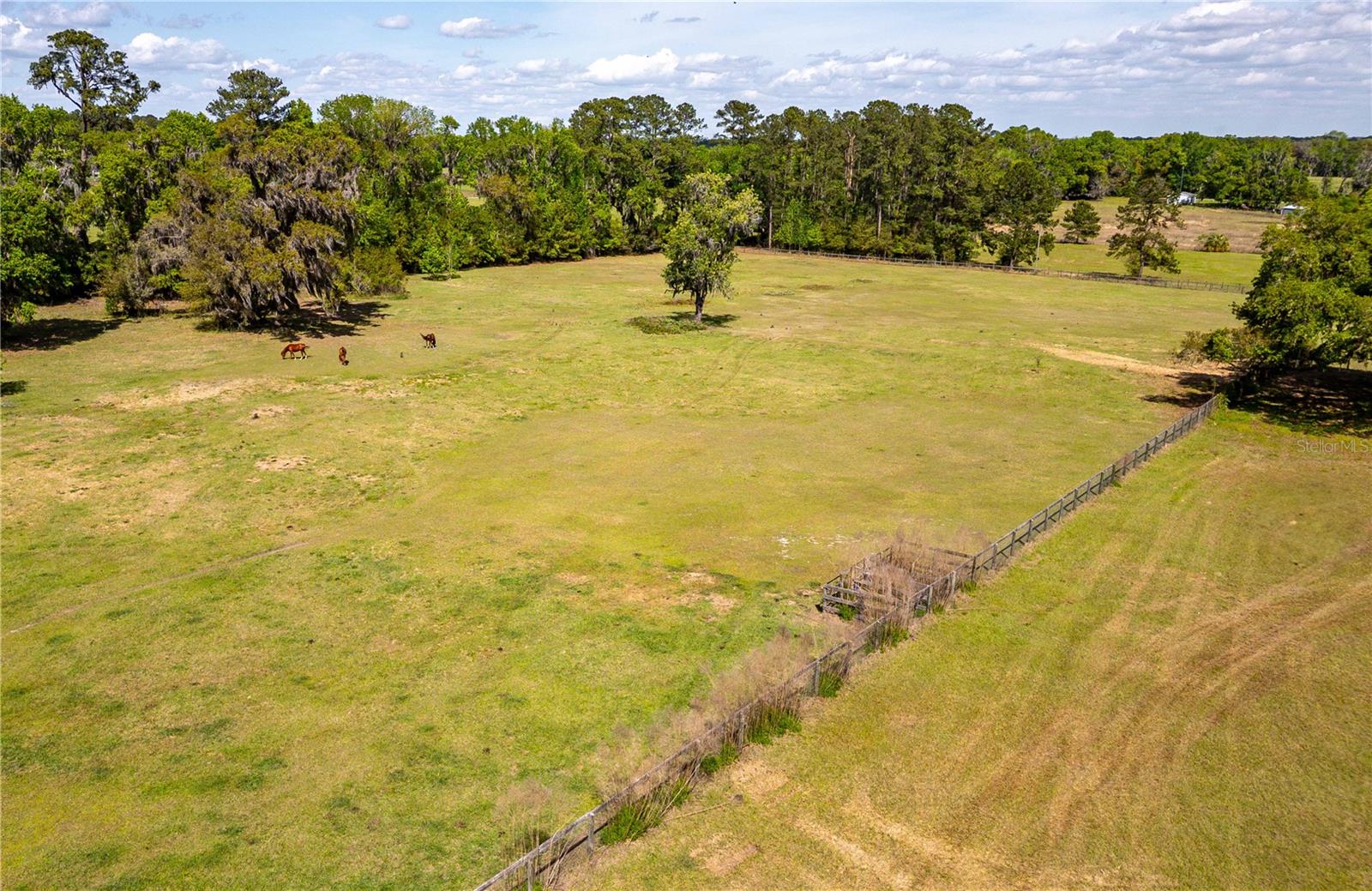 6124 NW 160TH ST, REDDICK, FL — photo 17