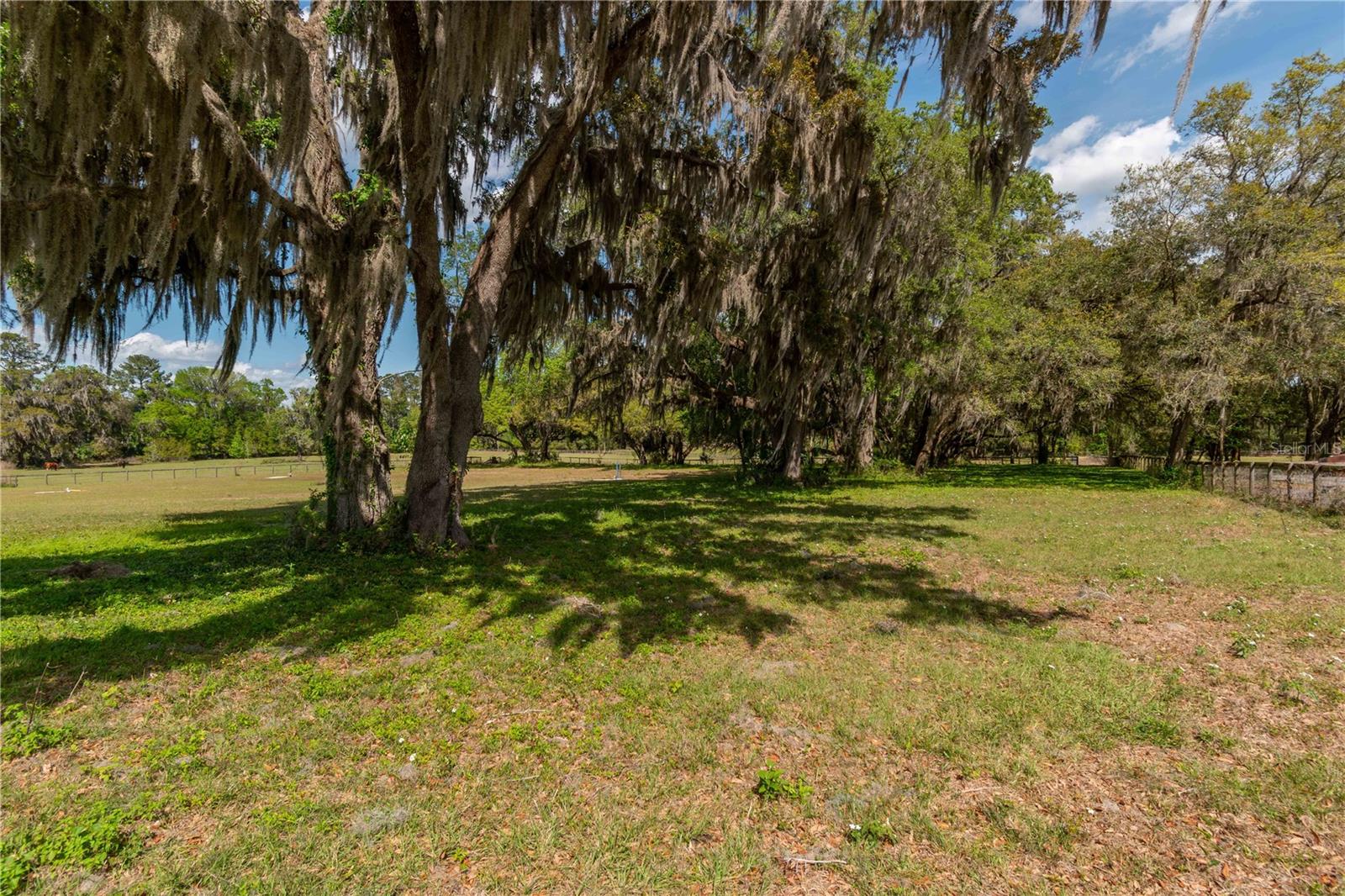 6124 NW 160TH ST, REDDICK, FL — photo 21