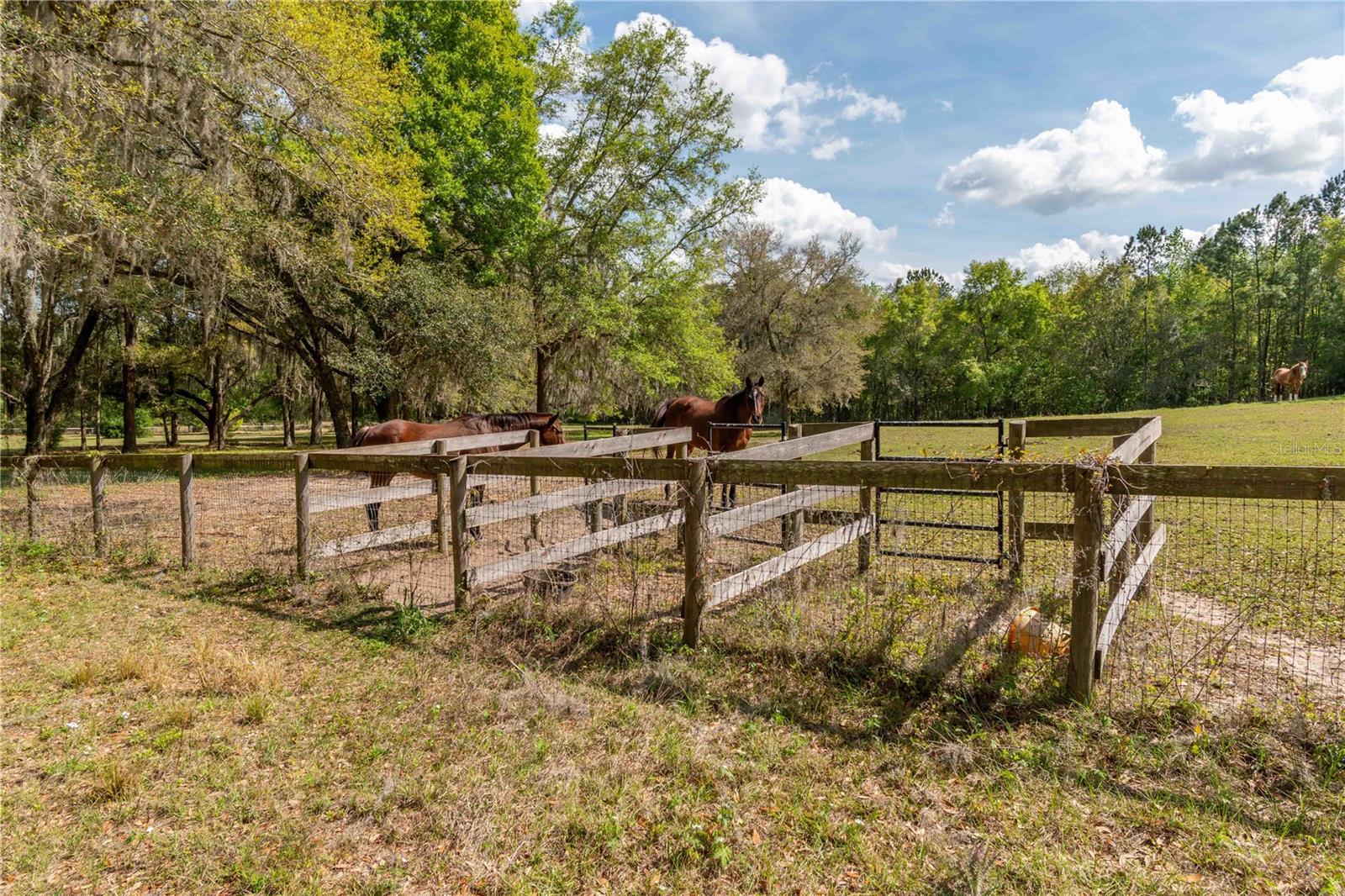 6124 NW 160TH ST, REDDICK, FL — photo 22