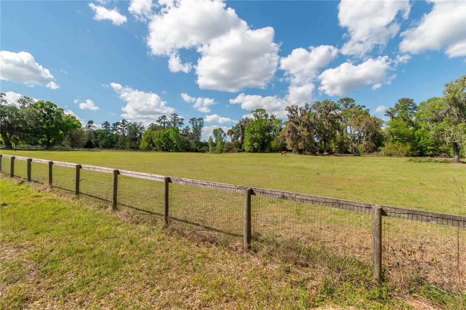 6124 NW 160TH ST, REDDICK, FL — photo 33
