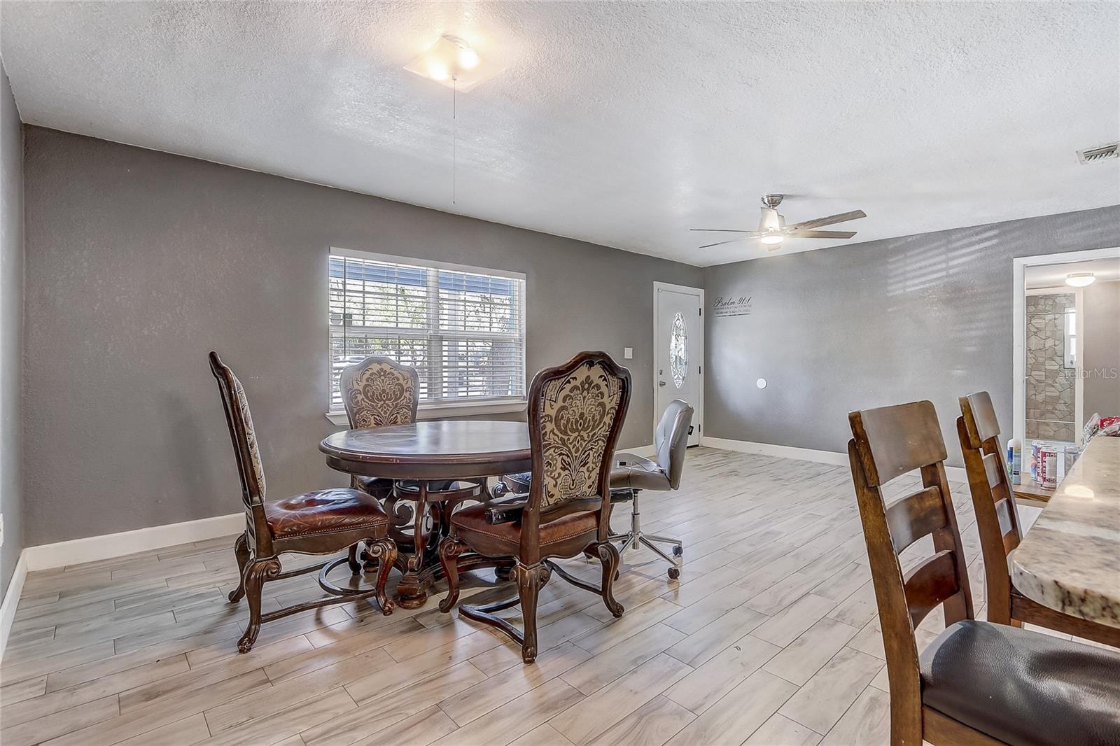 243 W MARTIN ST, APOPKA, FL — photo 21