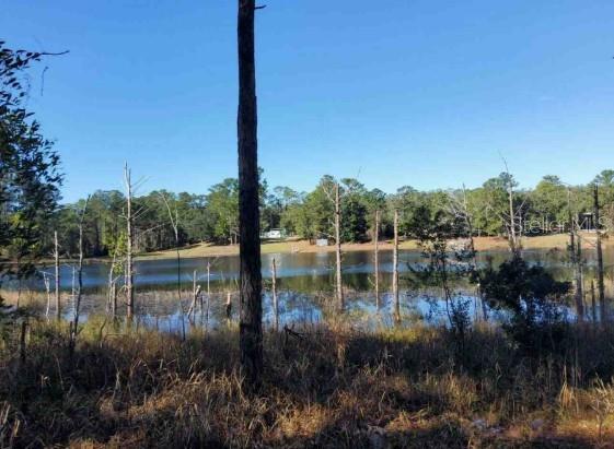 Lot 138 SE 168TH TER, OCKLAWAHA, FL — photo 2