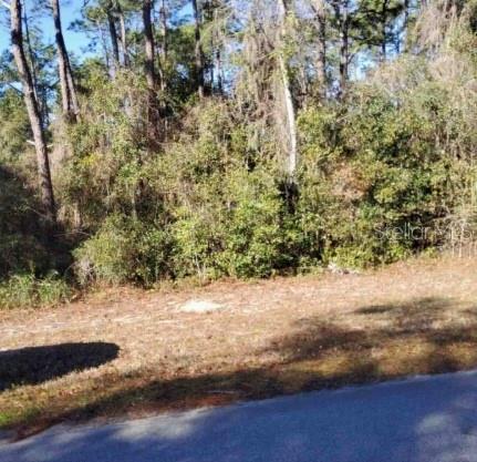 Lot 138 SE 168TH TER, OCKLAWAHA, FL — photo 3