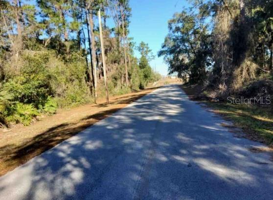 Lot 138 SE 168TH TER, OCKLAWAHA, FL — photo 4