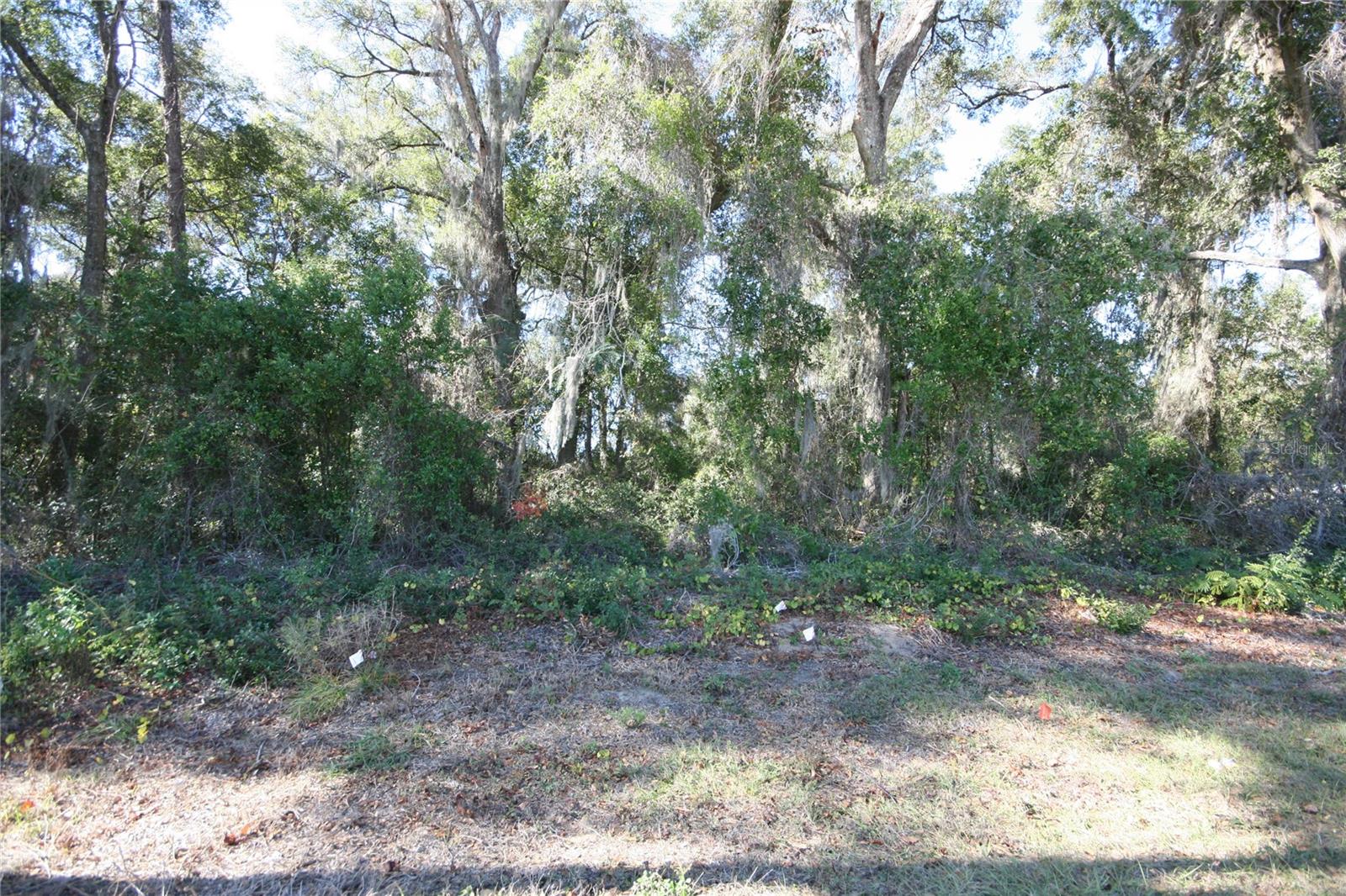 NE 36 AVE TBD, OCALA, FL — photo 5